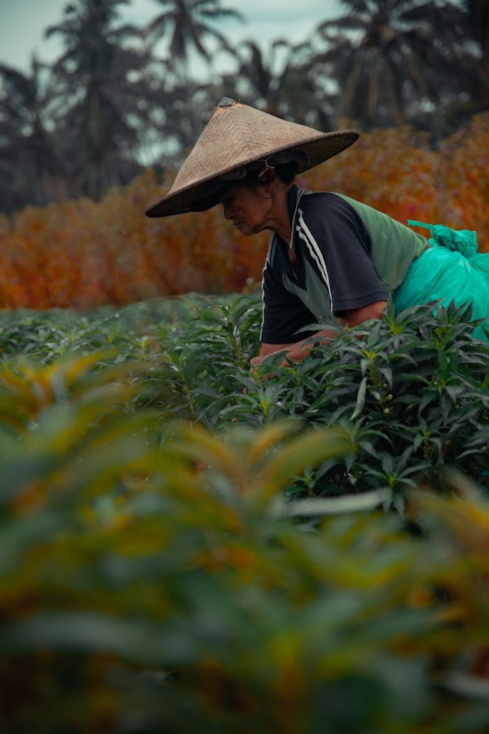 Person on Plant Field